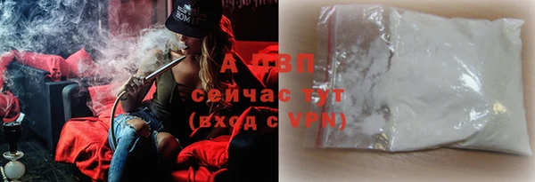 амф Верея