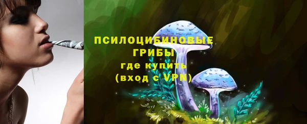 гидра Верхний Тагил