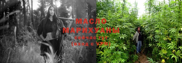 МДПВ Богородск