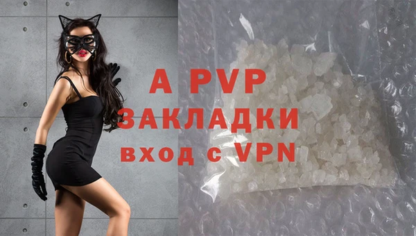гидра Верхний Тагил