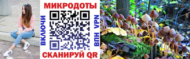 Галлюциногенные грибы GOLDEN TEACHER  хочу   Гусиноозёрск 